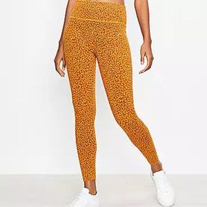 LOFT Lou & Grey Leopard Print High Rise Essential Leggings Soft Yellow XL EUC
